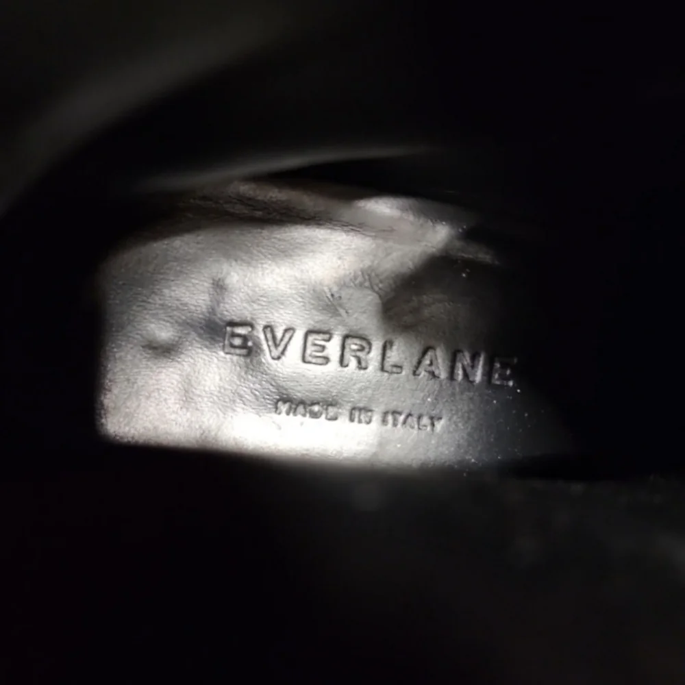 Everlane The Boss black pebbled leather zip up boots pointed toe block heel 5.5